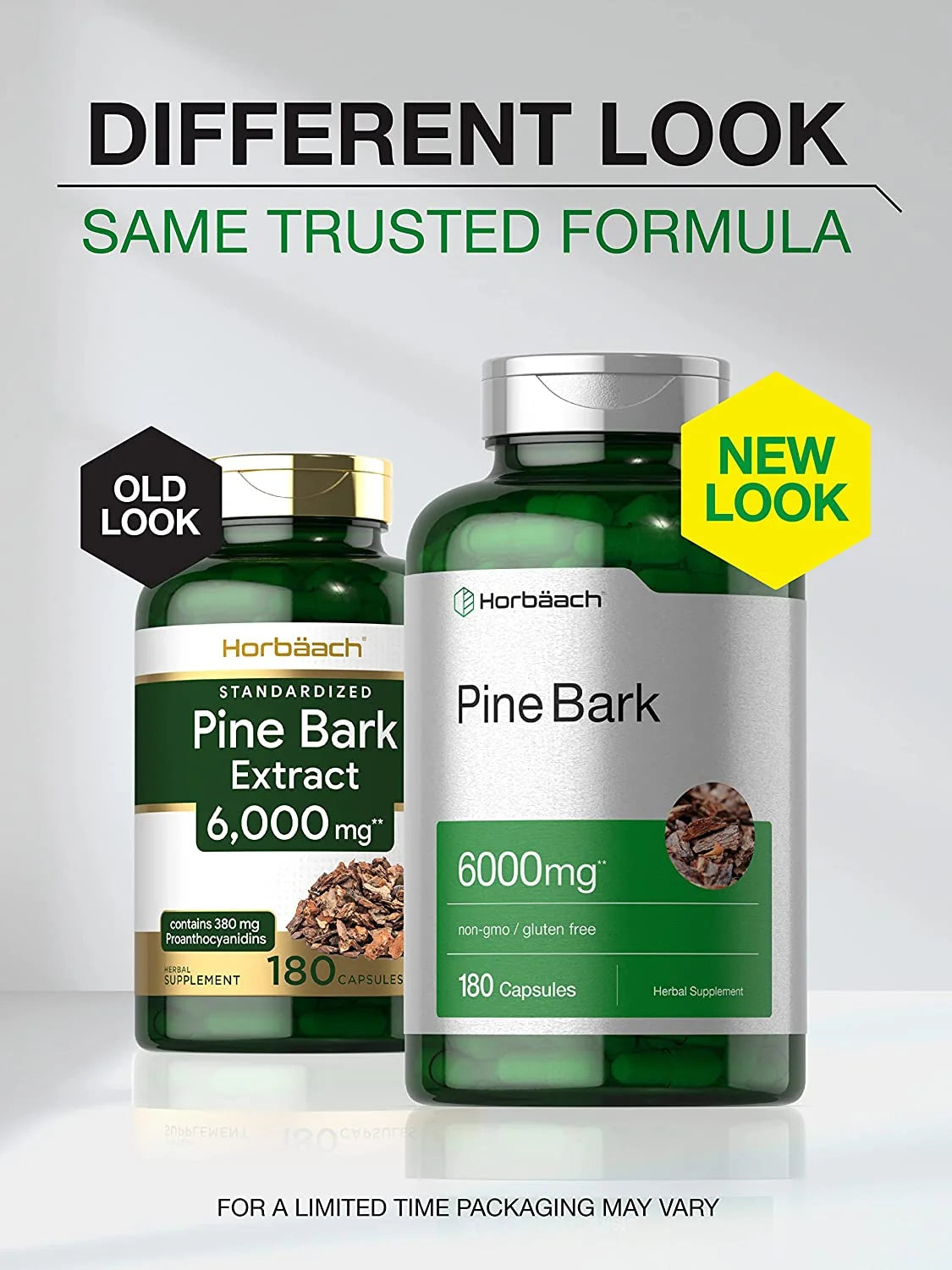 Pine Bark Extract 6000 Mg | 180 Capsules | Max Potency | by
