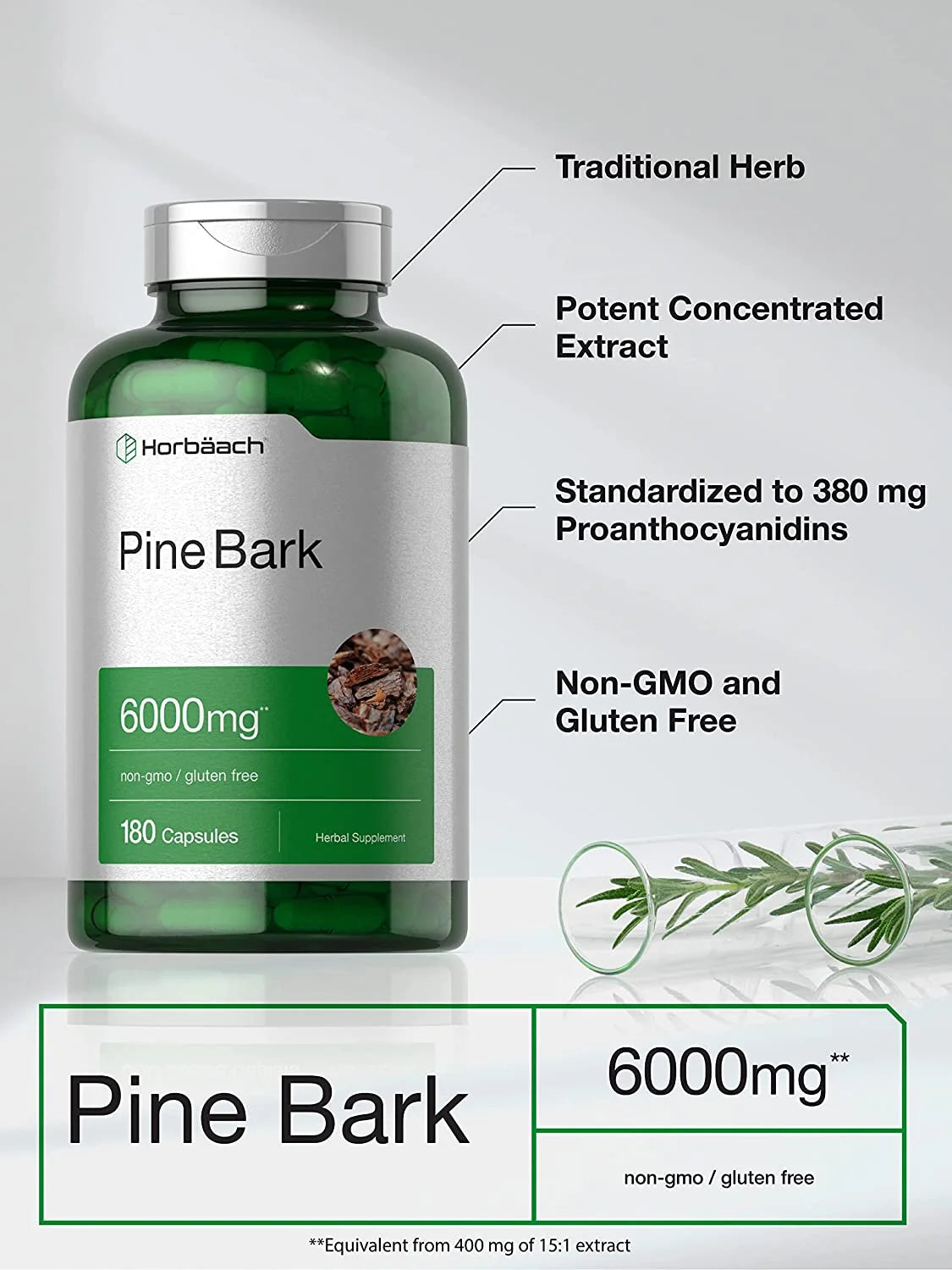 Pine Bark Extract 6000 Mg | 180 Capsules | Max Potency | by