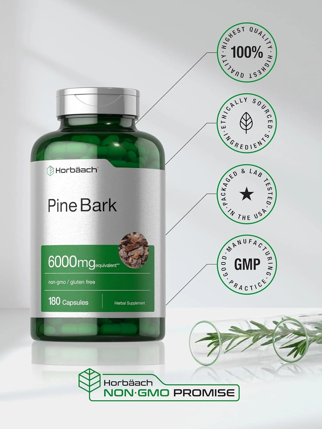 Pine Bark Extract 6000 Mg | 180 Capsules | Max Potency | by